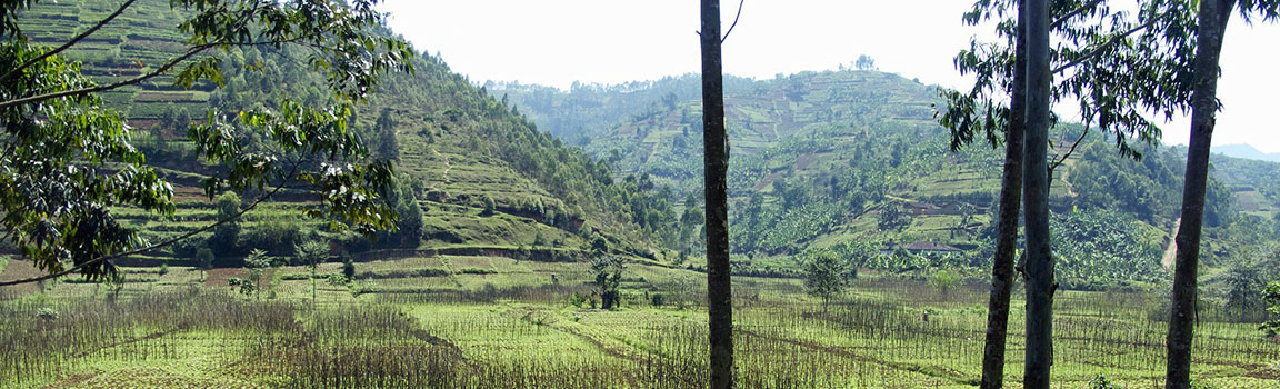 Número local: +2507 - 32463615 Gikongoro, Ruanda